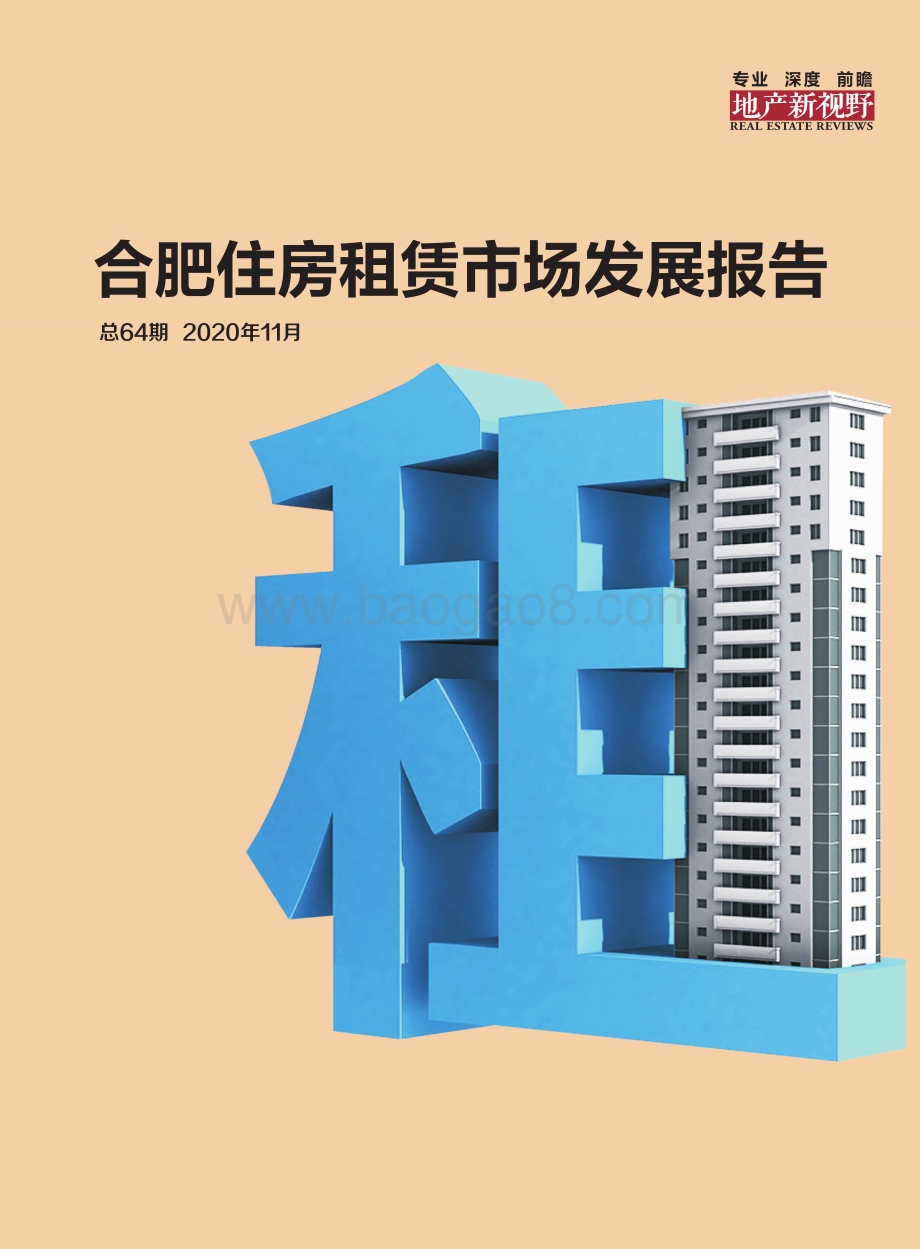 合肥住房租赁市场发展报告.pdf_第1页