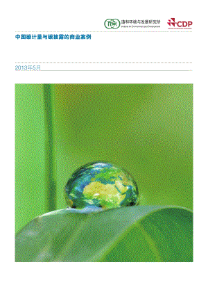 中国碳计量与碳披露的商业案例.pdf