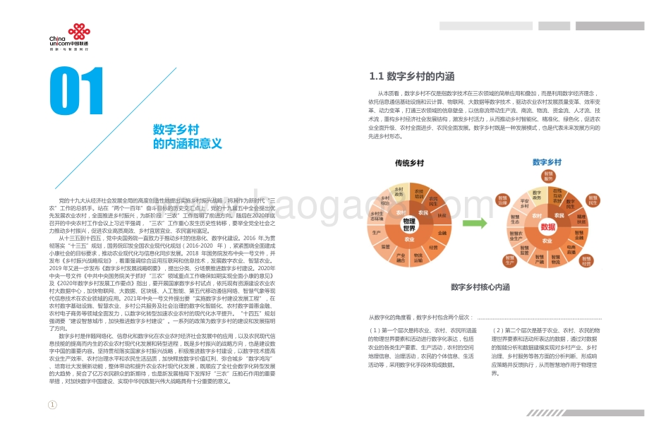 中国联通数字乡村白皮书.pdf_第3页