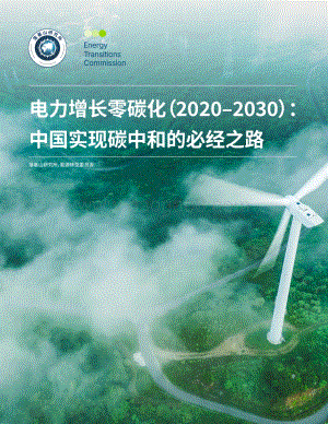 电力增长零碳化（2020-2030）：中国实现碳中和的必经之路.pdf