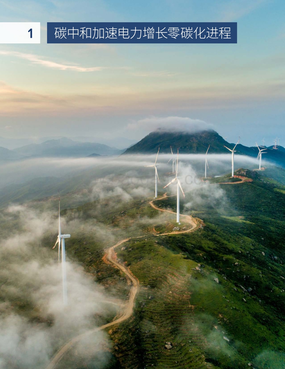 电力增长零碳化（2020-2030）：中国实现碳中和的必经之路.pdf_第5页
