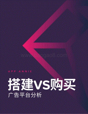 搭建VS购买：广告平台分析.pdf