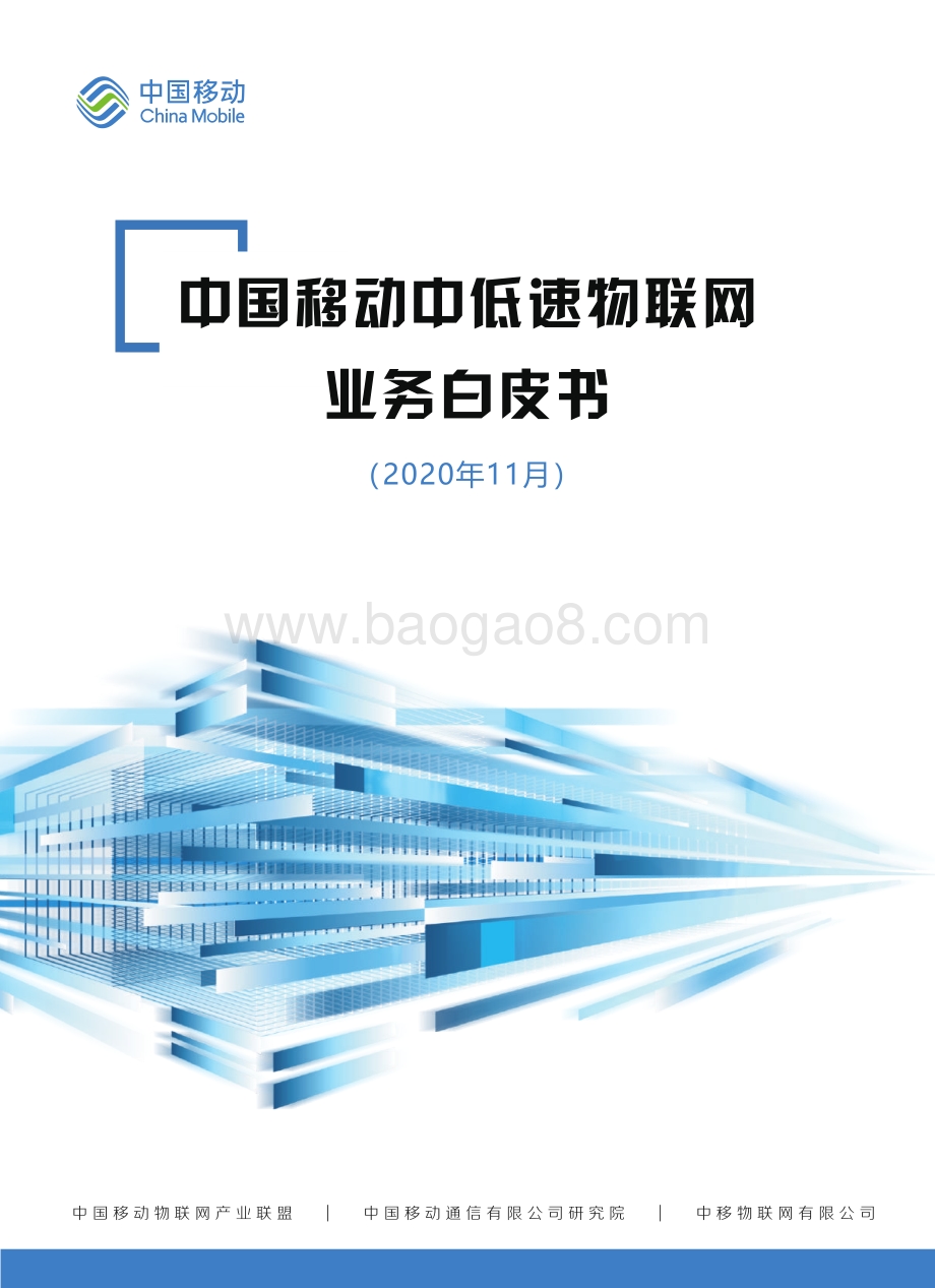 中低速物联网业务白皮书.pdf_第1页