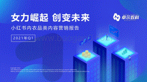 2021年Q1小红书内衣品类内容营销报告.pdf