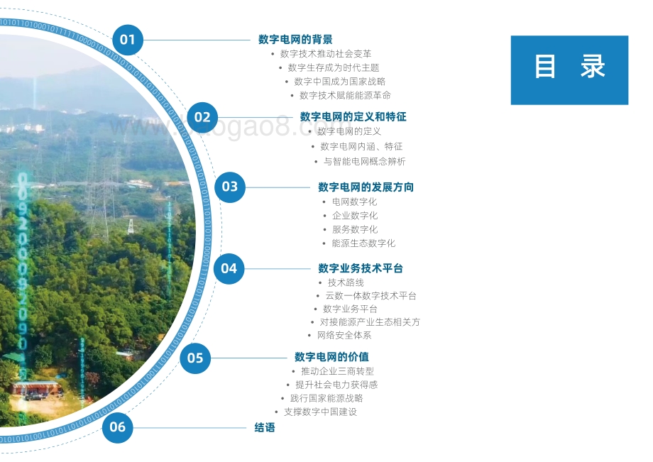 2020年数字电网白皮书.pdf_第3页