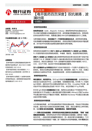 医药百页深度：双抗潮涌波澜壮阔.pdf