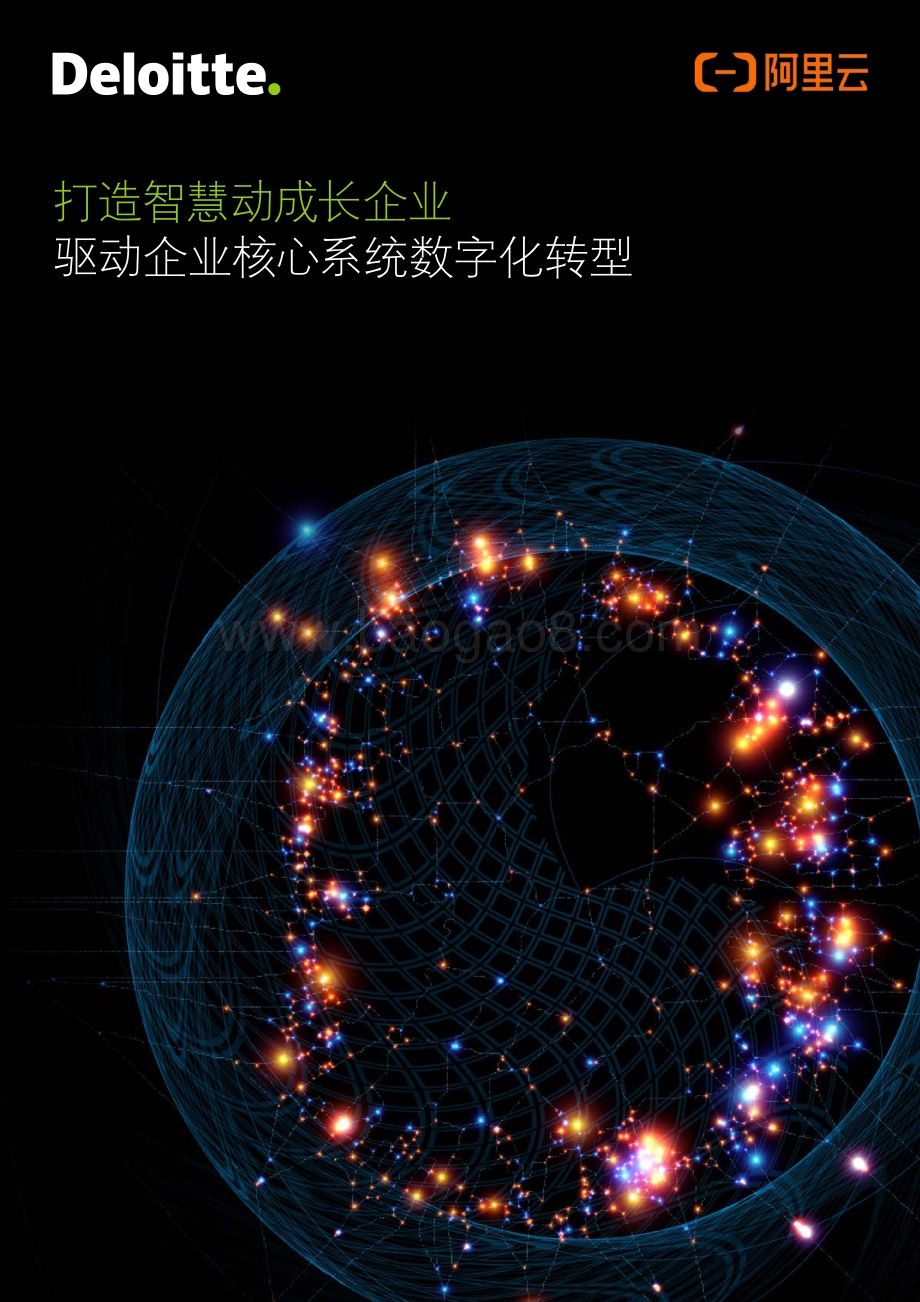 打造智慧动成长企业：驱动企业核心系统数字化转型.pdf_第1页