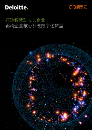 打造智慧动成长企业：驱动企业核心系统数字化转型.pdf