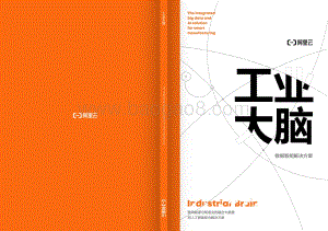 工业大脑：数据智能解决方案.pdf