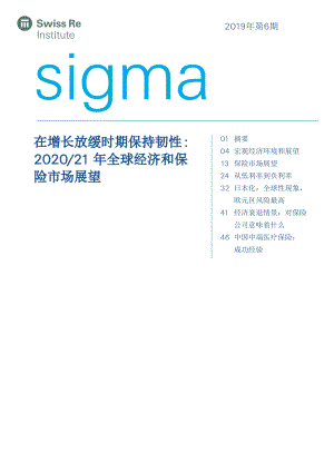 2020-21年全球经济和保险市场展望.pdf