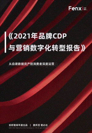 2021年品牌CDP与营销数字化转型报告.pdf