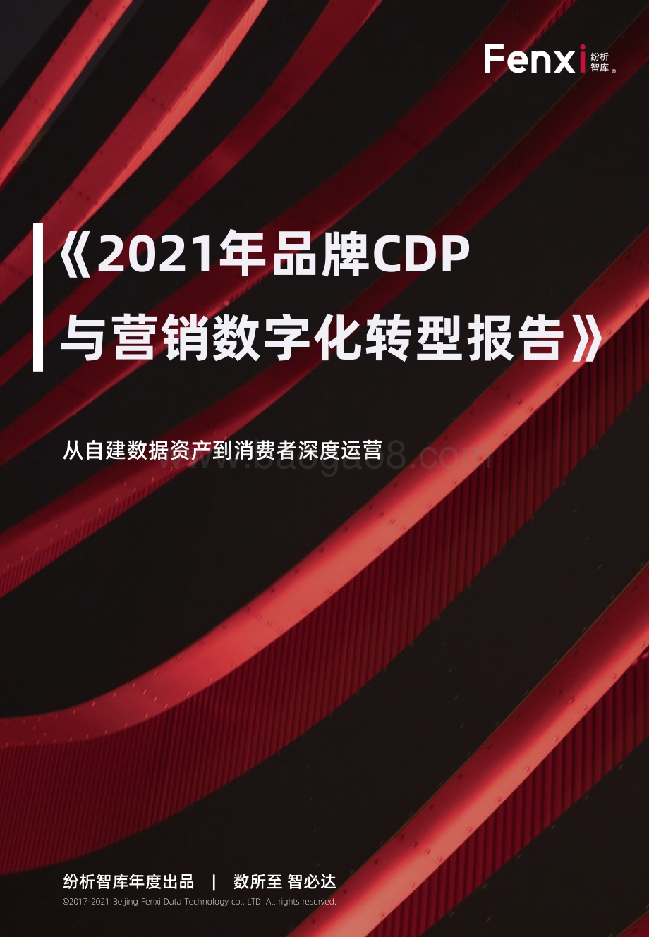 2021年品牌CDP与营销数字化转型报告.pdf_第1页