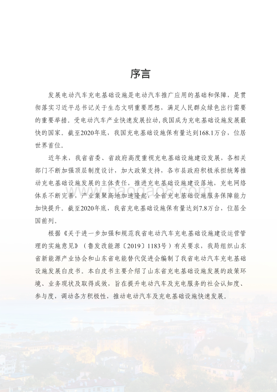2020山东省电动汽车充电基础设施发展白皮书.pdf_第3页