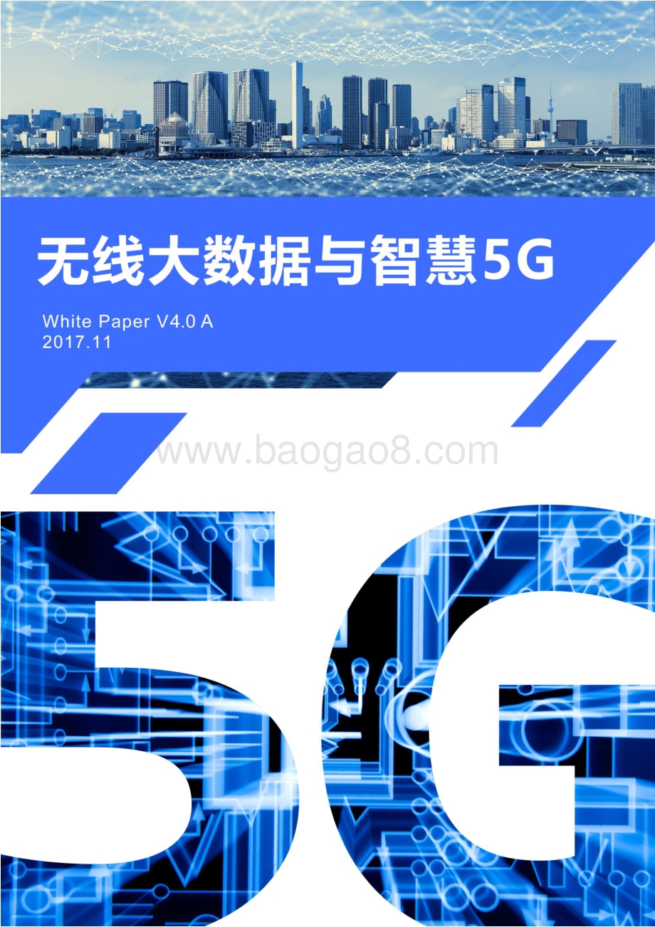 无线大数据与智慧5G.pdf_第1页