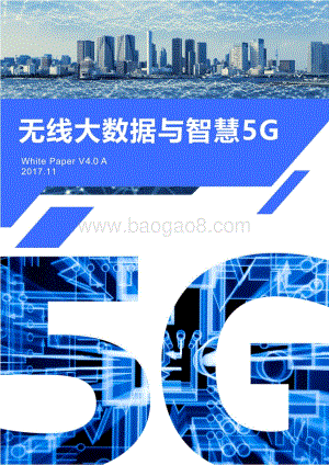 无线大数据与智慧5G.pdf