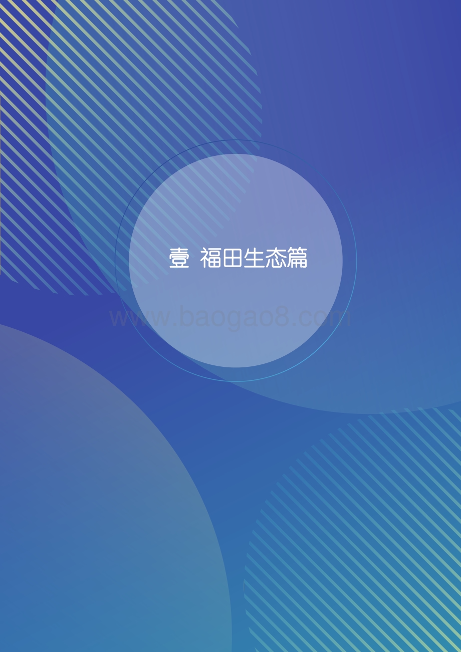 2020香蜜湖金融科技创新蓝皮书.pdf_第4页