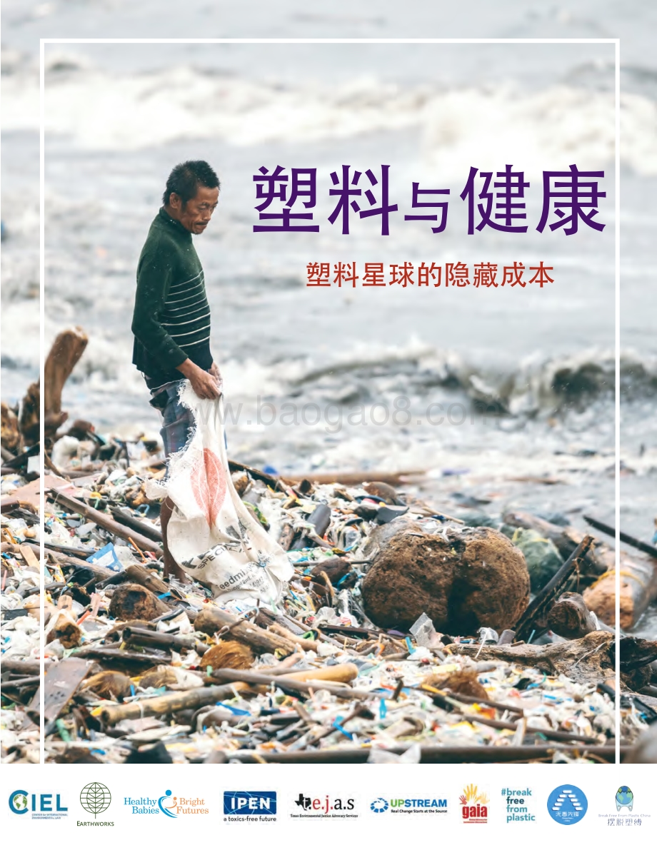 塑料星球的隐藏成本：塑料与健康.pdf_第1页