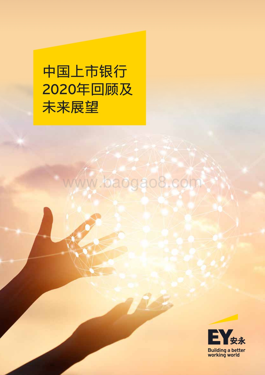 中国上市银行2020年回顾及未来展望.pdf_第1页