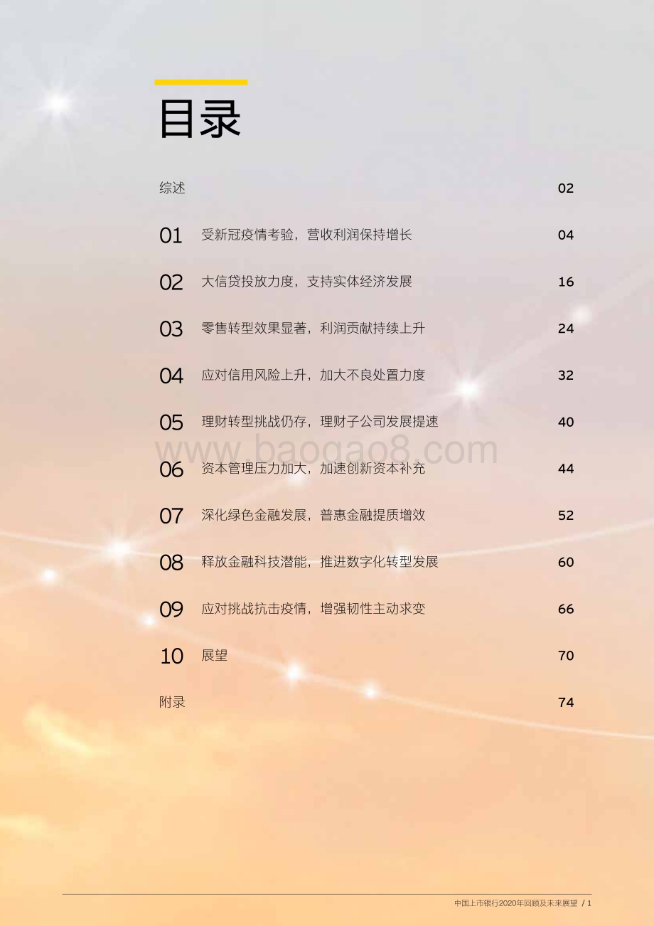 中国上市银行2020年回顾及未来展望.pdf_第3页