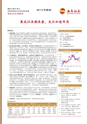 集成灶行业专题报告：集成灶浪潮来袭龙头加速布局.pdf