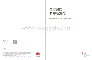 2020全球联接指数.pdf