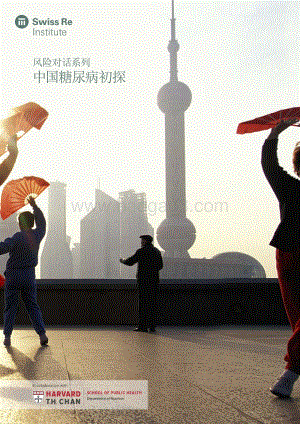 中国糖尿病初探.pdf