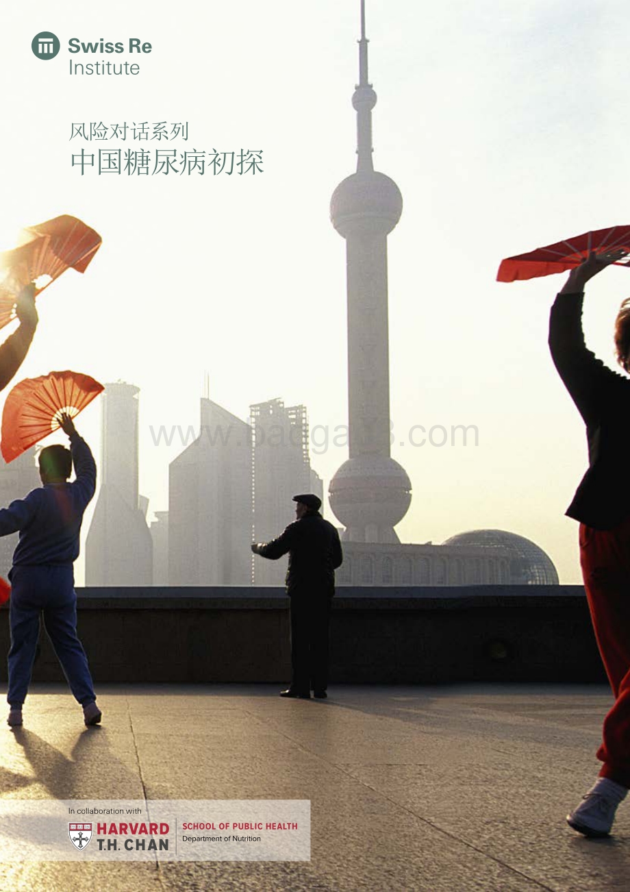 中国糖尿病初探.pdf_第1页
