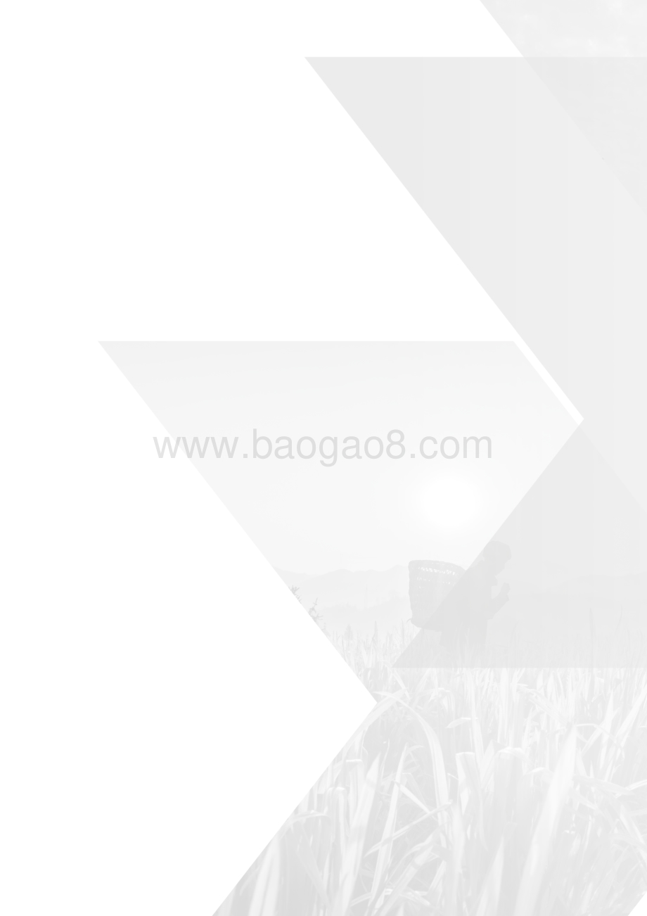 中国现代化的新征程：“十四五”到碳中和的新增长故事.pdf_第4页