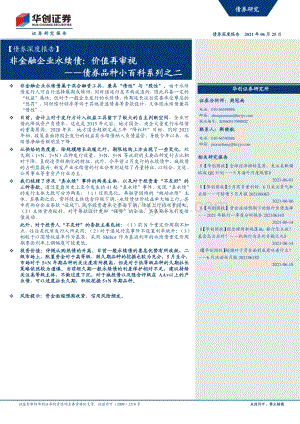 非金融企业永续债：价值再审视.pdf
