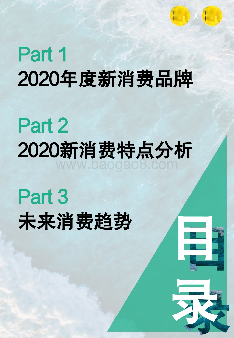 2020年度新消费品牌价值TOP100报告.pdf_第4页