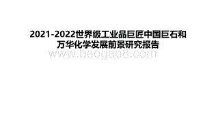 2021-2022世界级工业品巨匠中国巨石和万华化学发展前景研究报告.pdf