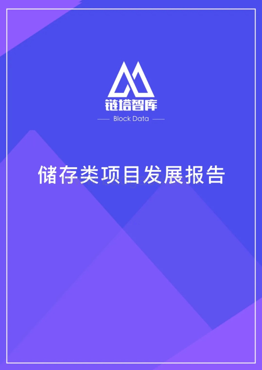 区块链储存类项目发展报告.pdf_第1页