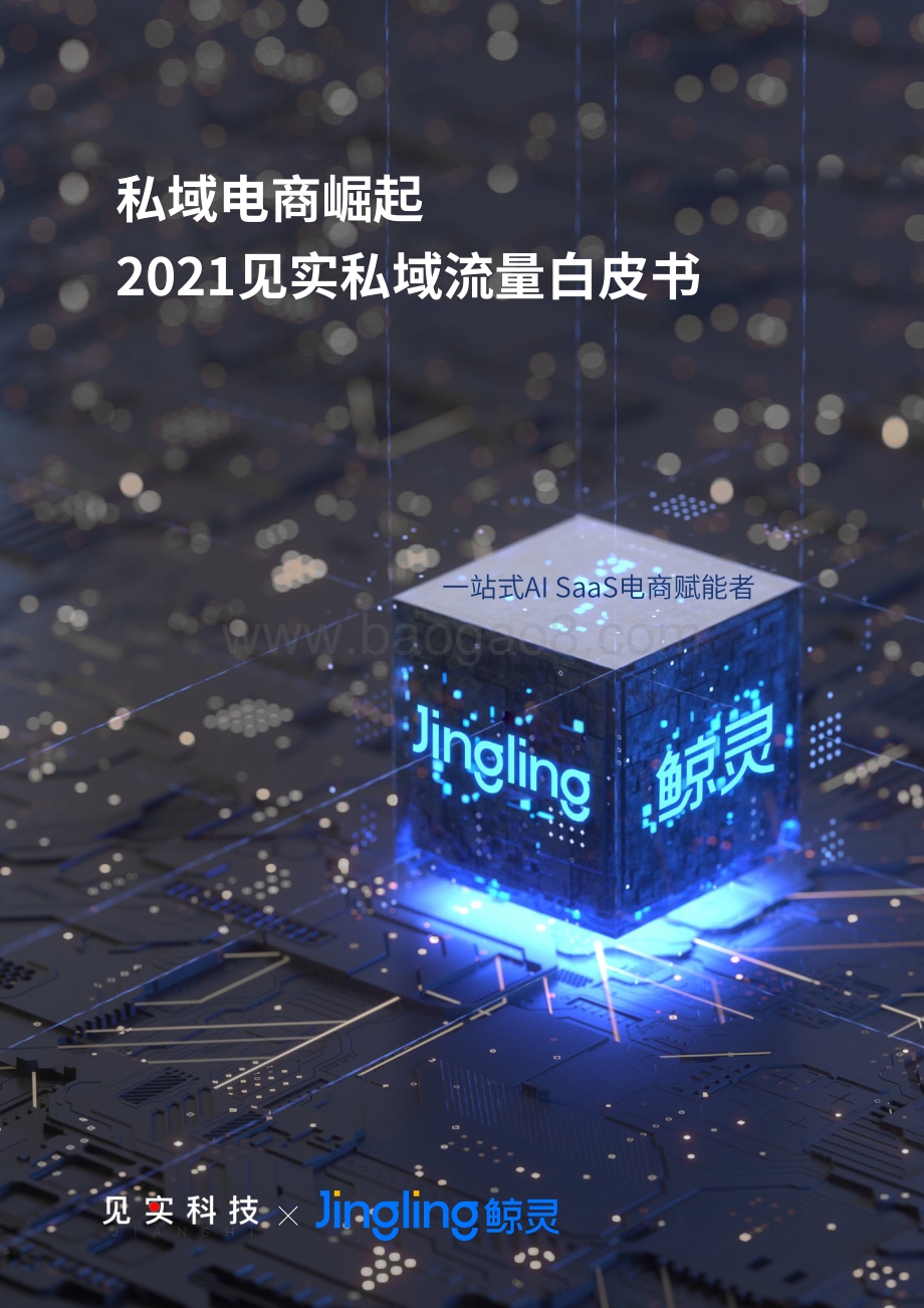 2021见实私域流量白皮书.pdf_第1页