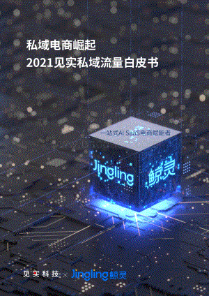 2021见实私域流量白皮书.pdf