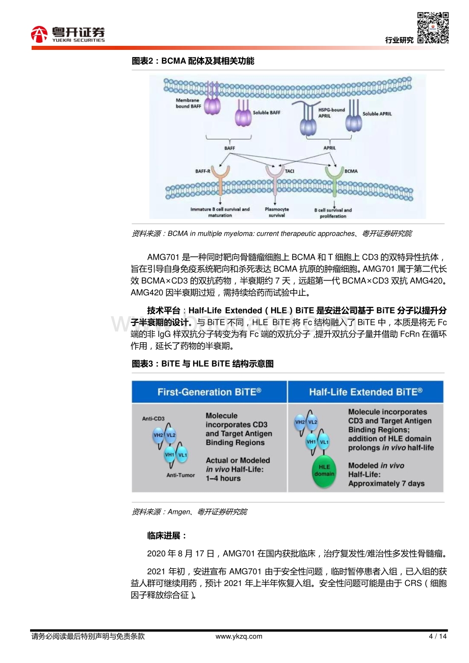 双抗深度报告（六）：国内双抗企业及管线梳理（百济神州）.pdf_第4页