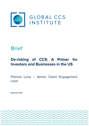 降低CCS风险：美国投资者和企业入门手册（英文版）.pdf