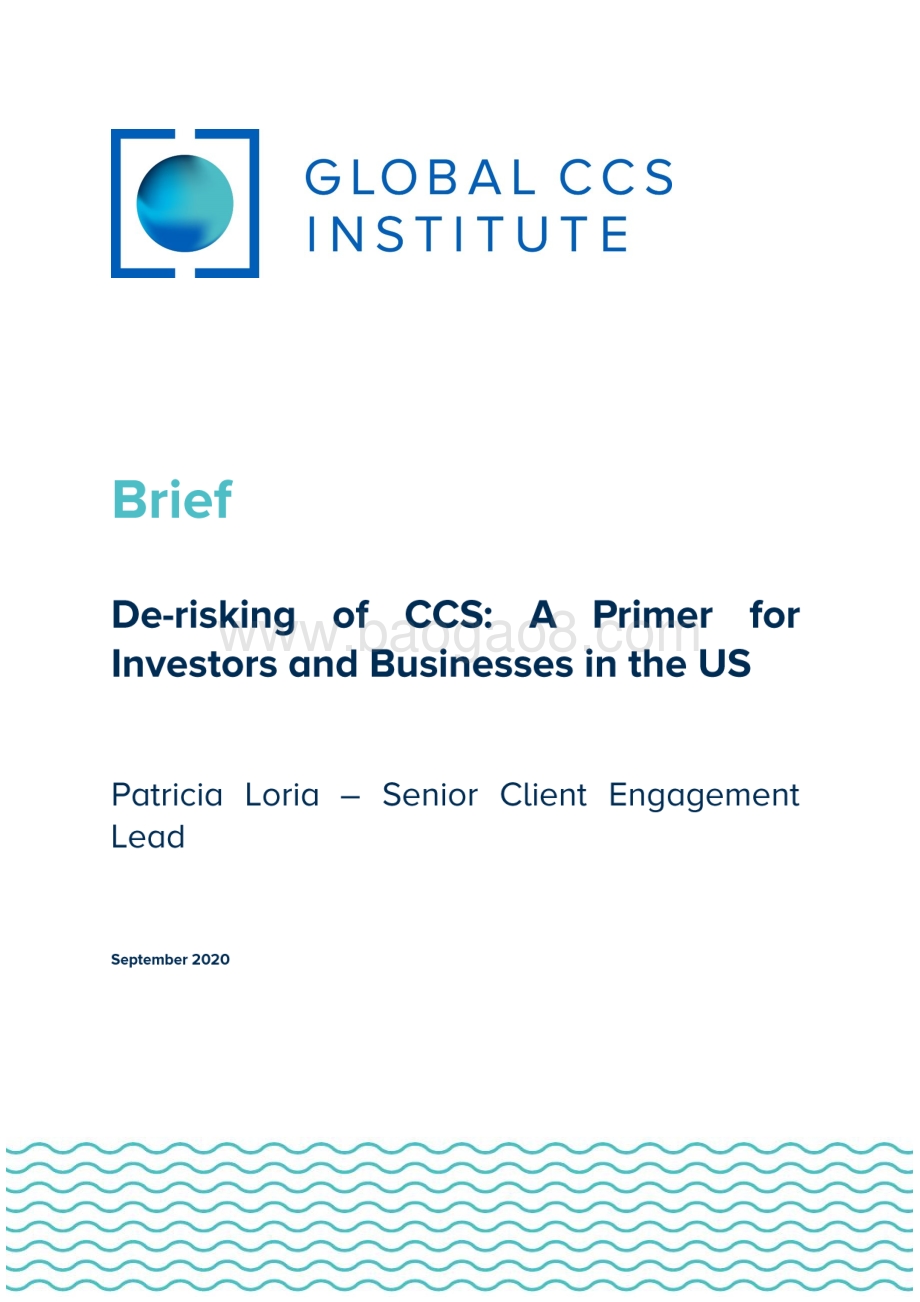 降低CCS风险：美国投资者和企业入门手册（英文版）.pdf_第1页