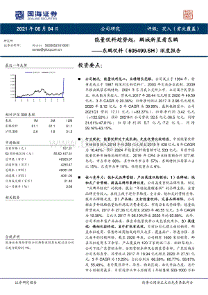 东鹏饮料深度报告：能量饮料趁势起鹏城新星看东鹏.pdf
