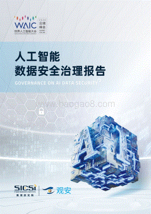 人工智能数据安全治理报告.pdf