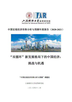 2020-2021中国宏观经济形势分析与预测年度报告.pdf