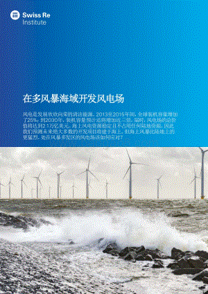 在多风暴海域开发风电场.pdf