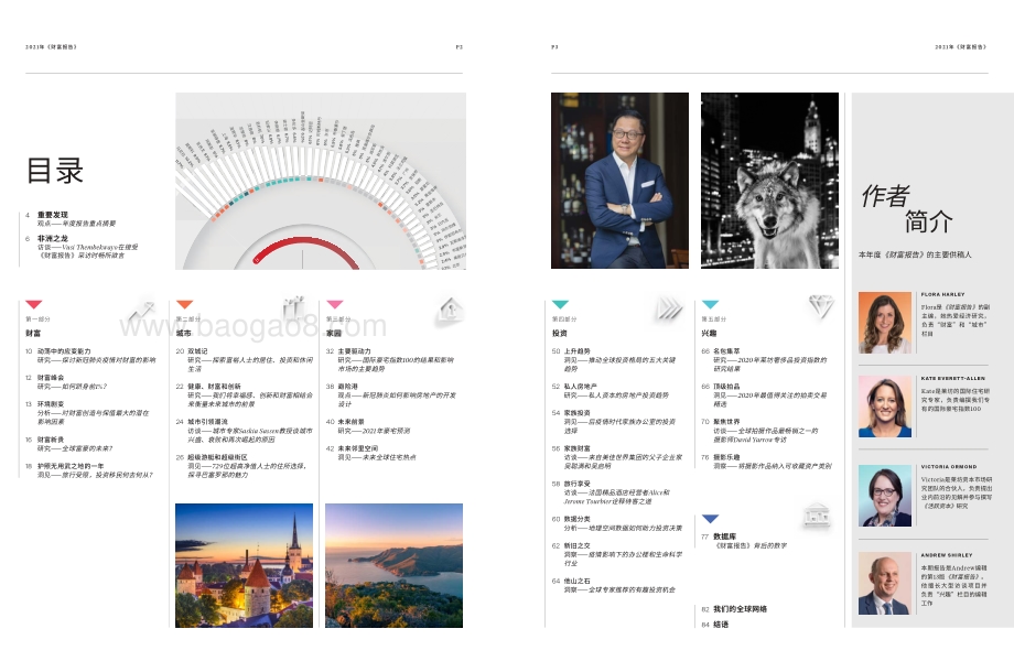 2021年财富报告.PDF_第3页