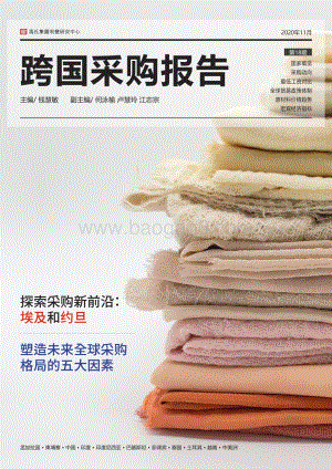 跨国采购报告.pdf