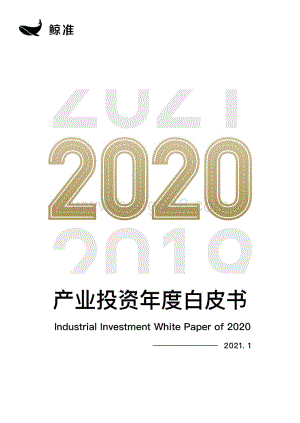 2020产业投资年度白皮书.pdf