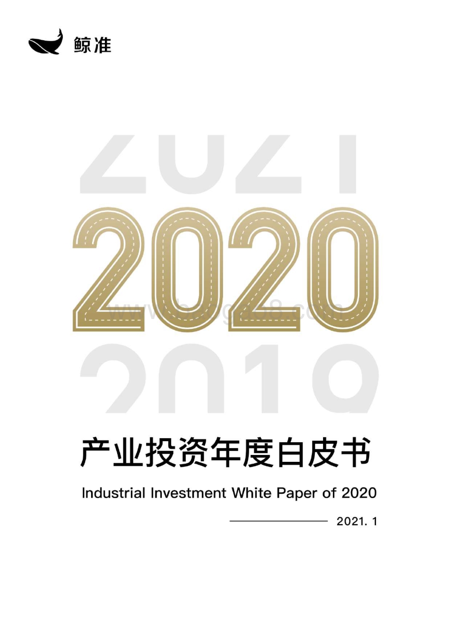 2020产业投资年度白皮书.pdf_第1页