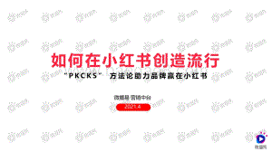 如何在小红书创造流行.pdf