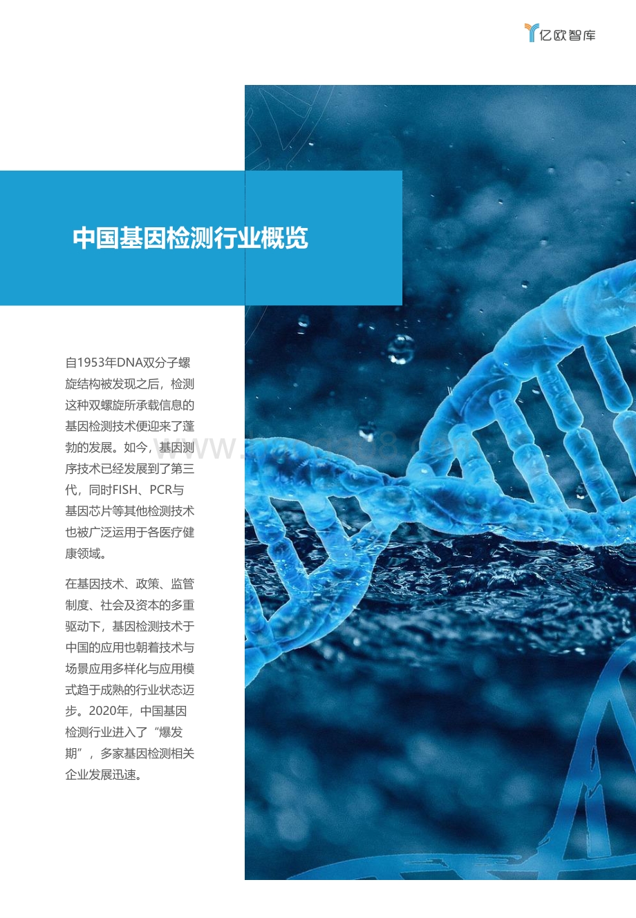 2021年中国基因检测行业研究报告：技术篇.pdf_第4页