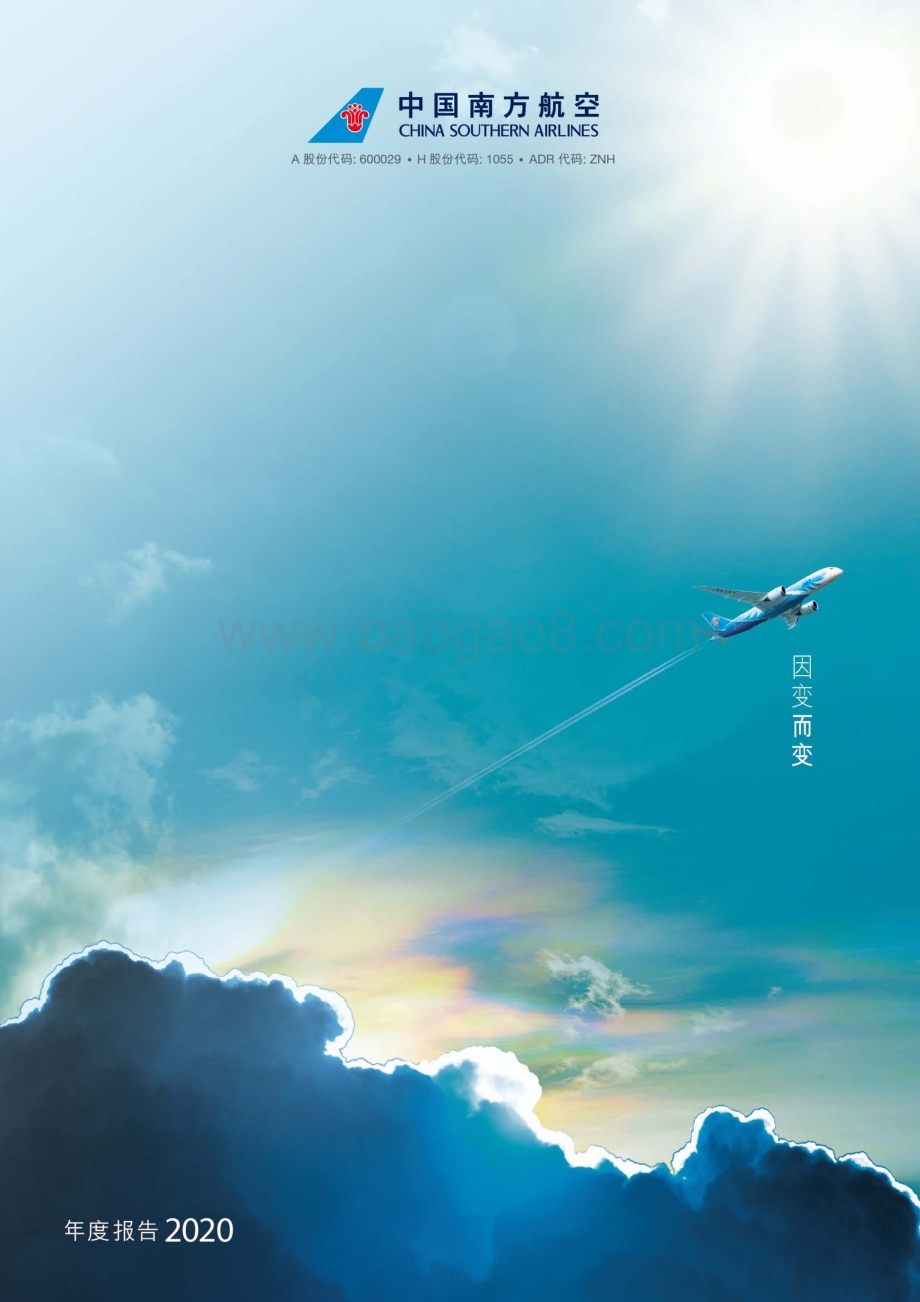 中国南方航空2020年度报告.pdf_第1页
