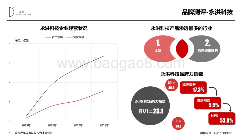2019年BI市场品牌测评报告.pdf_第5页