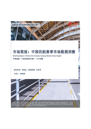 中国小水电行业调研简报：中国民航春季市场数据洞察.pdf
